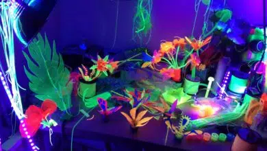 farba fluorescencyjna