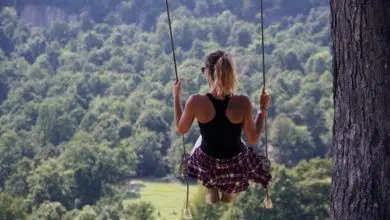 Jaką huśtawkę ogrodową wybrać? Poradnik zakupowy 6