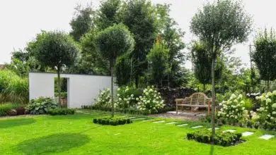 Jak wykorzystać płyty chodnikowe w ogrodzie? 1