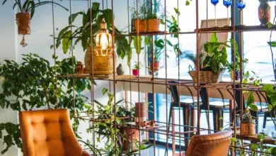 Urządź mieszkanie ze smakiem! Sprawdź, które trendy będą hitem 2020 roku 9