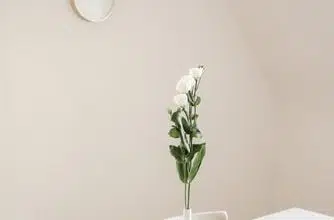 Co będzie niezbędnym elementem wyposażenia twojego salonu marzeń? 5
