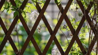 Ekspert radzi: jak zbudować komfortową altanę ogrodową? 1