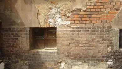 Łódź tonie w problemie wilgoci. Jak z nią walczyć? 4