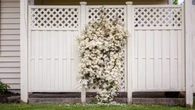 Wybieramy płot do ogrodu — jak wybrać? Praktyczne rady 15