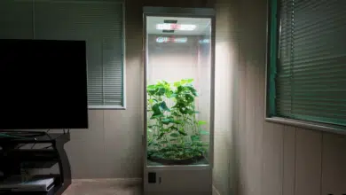 Praktyczny zestaw growbox 2