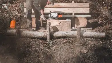 Zastosowanie pilarki spalinowej w przydomowym ogrodzie 5