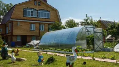 Szklarnie ogrodowe z poliwęglanu w konstrukcji stalowej – wybór na lata! 12