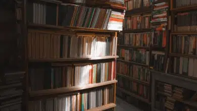 Jak wyeksponować pokaźną kolekcję książek? 9