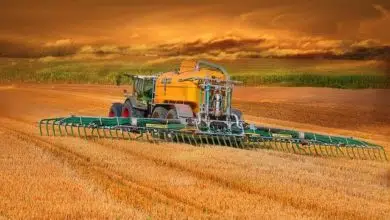 Nawozy dolistne – zalety i zasady stosowania 3