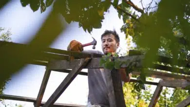 Jak zbudować altankę ogrodową? 2