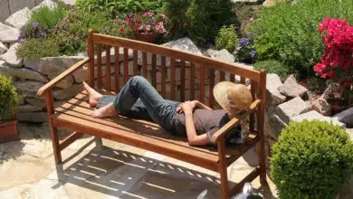 Jak dbać o ogrodowe ławki? 7