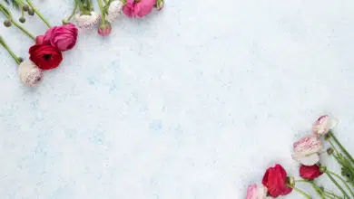 Sztuczne kwiaty – wnętrzarski hit! 1