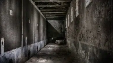Jak usunąć grzyba ze ściany i sufitu? Sprawdzone sposoby 9