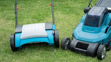 Do czego służą wertykulatory i aeratory? 2