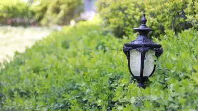 O czym powinieneś wiedzieć, zanim zakupisz lampy ogrodowe? 7