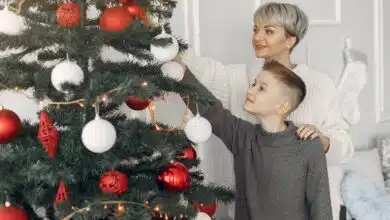 Jaką choinkę wybrać