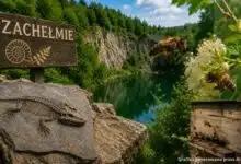Zachełmie, tetrapod i pszczoły – opowieść o pradawnym świecie ziemi świętokrzyskiej 5